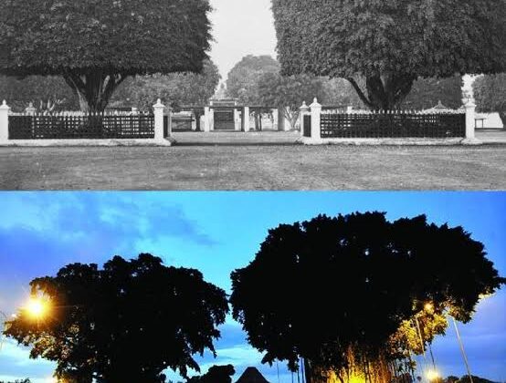 Foto : Alun-alun kidul yogyakarta (Ist)