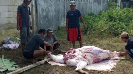 Prosesi saat penyembelihan hewan kurban di Kavling Bumi Mandiri, Bekasi (foto:Praba)