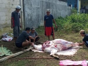 Prosesi saat penyembelihan hewan kurban di Kavling Bumi Mandiri, Bekasi (foto:Praba)