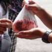 Foto ilustrasi pembagian Daging Kurban (foto: istimewa)
