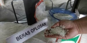 Menteri Pertanian Andi Amran Sulaiman akan mengumumkan 212 merek beras diduga oplosan secara bertahap.(Foto: istimewa)