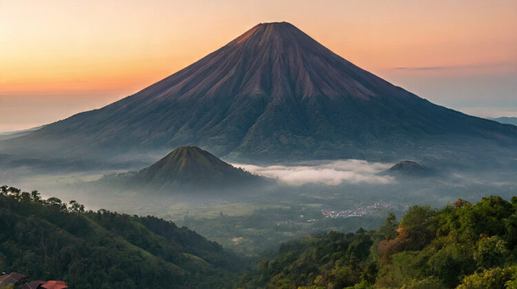 Foto: Ilustrasi/Istimewa