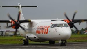 Megawati Zebua ditetapkan dalam kasus penganiayaan usai keributan soal koper di pesawat Wings Air. 