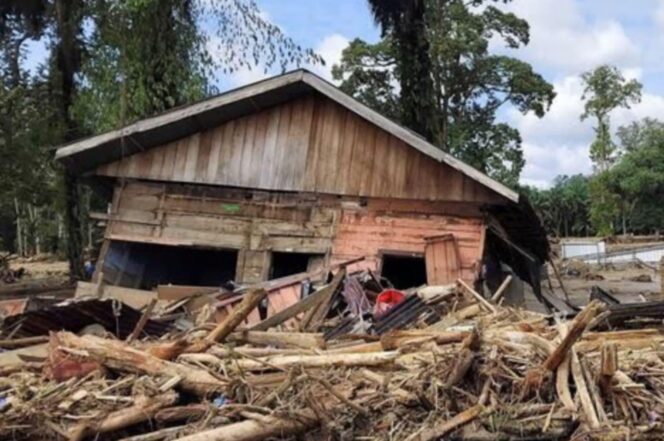 
					Banjir bandang dan longsor di Aceh, Sumatera Utara, dan Sumatera Barat menewaskan 441 orang dan menyebabkan lebih dari satu juta warga terdampak. (Ist)