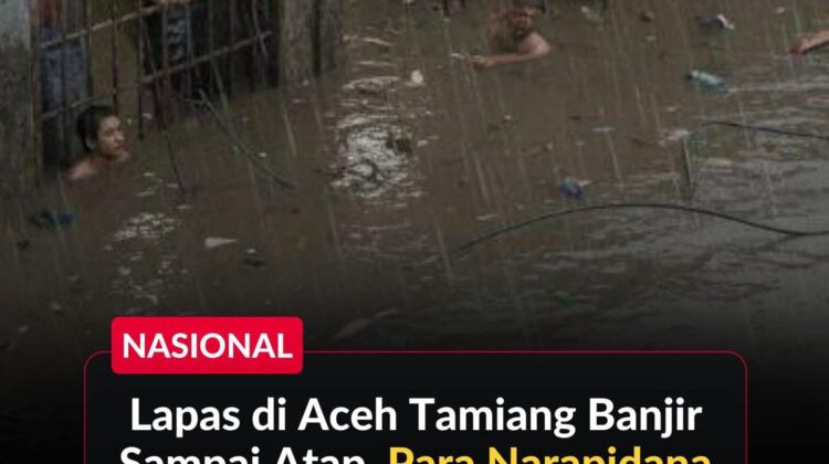 Foto: Istimewa