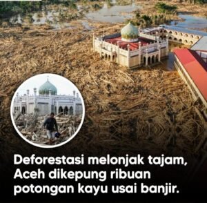 Deforestasi di Aceh, Sumatra Utara, dan Sumatra Barat melonjak tajam dalam lima tahun terakhir. Menteri Kehutanan Raja Juli Antoni memaparkan data terbaru yang mengaitkan kerusakan hutan dengan banjir bandang Aceh Tamiang. Grafik deforestasi menunjukkan peningkatan eksponensial yang memperparah risiko bencana.(Doc. Ist)