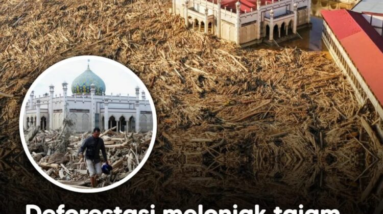 Deforestasi di Aceh, Sumatra Utara, dan Sumatra Barat melonjak tajam dalam lima tahun terakhir. Menteri Kehutanan Raja Juli Antoni memaparkan data terbaru yang mengaitkan kerusakan hutan dengan banjir bandang Aceh Tamiang. Grafik deforestasi menunjukkan peningkatan eksponensial yang memperparah risiko bencana.(Doc. Ist)