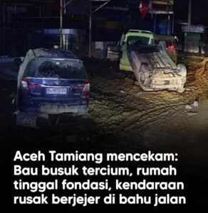 Gubernur Aceh Muzakir Manaf meninjau banjir Aceh Tamiang hingga dini hari dan menyalurkan 30 ton bantuan makanan serta obat-obatan untuk warga terdampak.(Istimewa)
