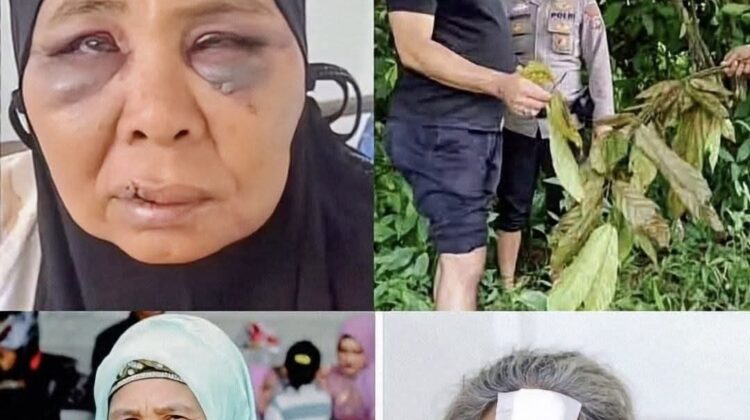 Seorang nenek di Pasaman Timur dianiaya dan dibuang karena menolak tambang emas ilegal di lahan miliknya. Kronologi, kondisi korban, dan upaya hukum.(Istimewa)