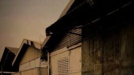 Foto : ilustrasi (Istimewa)