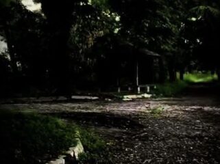 Foto Ilustrasi (Istimewa)