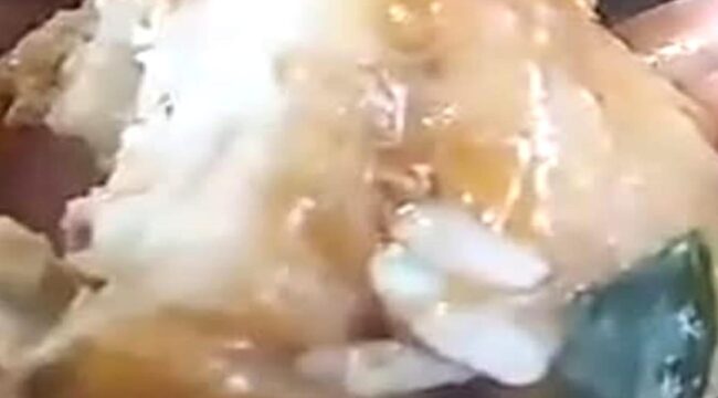 Program Makanan Bergizi Gratis (MBG) di Kupang, NTT, disorot setelah warga menemukan belatung di daging makanan yang dibagikan. Polisi bersama pemda dijadwalkan turun ke lokasi untuk melakukan pengecekan kualitas MBG.