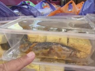 Video lele mentah dalam menu Makan Bergizi Gratis di Pamekasan viral. BGN menjelaskan paket makanan sebenarnya lengkap, namun sebagian ditolak oleh SMAN 2 Pamekasan.