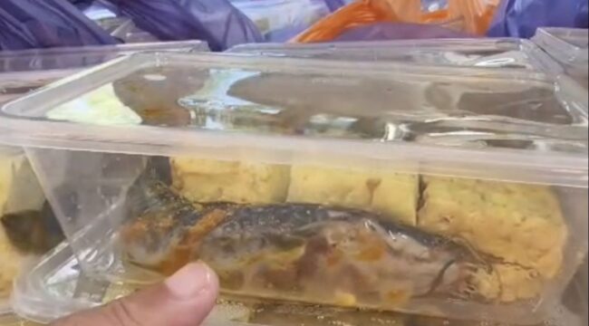 Video lele mentah dalam menu Makan Bergizi Gratis di Pamekasan viral. BGN menjelaskan paket makanan sebenarnya lengkap, namun sebagian ditolak oleh SMAN 2 Pamekasan.