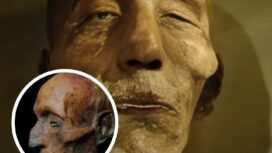 Misteri Firaun tenggelam di Laut Merah kembali viral usai temuan Maurice Bucaille pada mumi Merneptah, memicu perdebatan ilmiah dan reaksi netizen.