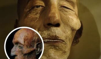 Misteri Firaun tenggelam di Laut Merah kembali viral usai temuan Maurice Bucaille pada mumi Merneptah, memicu perdebatan ilmiah dan reaksi netizen.