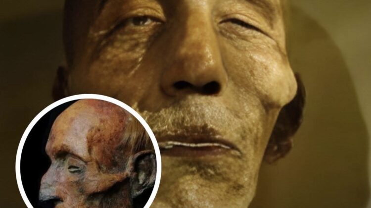 Misteri Firaun tenggelam di Laut Merah kembali viral usai temuan Maurice Bucaille pada mumi Merneptah, memicu perdebatan ilmiah dan reaksi netizen.