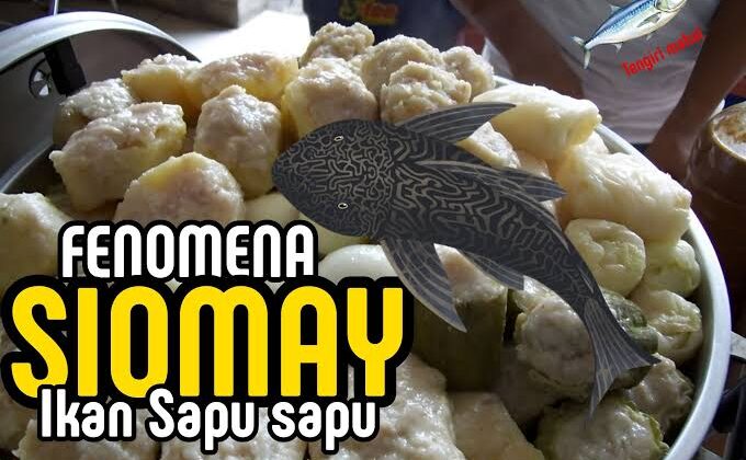 DKPKP DKI Jakarta mengungkap bahaya siomai berbahan ikan sapu-sapu yang mengandung logam berat dan bakteri. Kenali cirinya agar terhindar dari risiko kesehatan.(Istimewa)