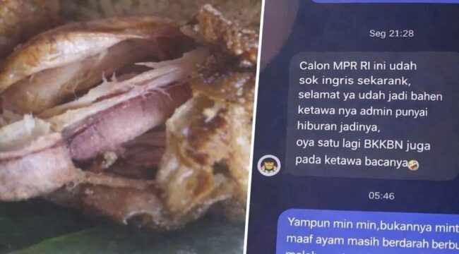 Respons tidak pantas admin SPPG di Pringsewu viral usai keluhan menu MBG. Simak kronologi, klarifikasi, dan pelajaran pentingnya.(Istimewa)
