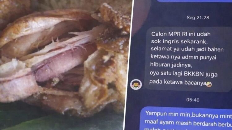 Respons tidak pantas admin SPPG di Pringsewu viral usai keluhan menu MBG. Simak kronologi, klarifikasi, dan pelajaran pentingnya.(Istimewa)
