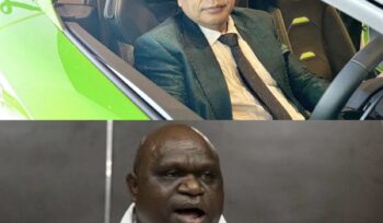 Hotman Paris membantah tuduhan Natalius Pigai soal iri tak jadi menteri. Ia juga mengkritik kinerja Kementerian HAM.(Istimewa)