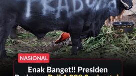 Presiden Prabowo Subianto menyalurkan 1.098 sapi kurban Iduladha 1447 H senilai Rp100 miliar untuk daerah, pesantren, dan tokoh masyarakat.(Istimewa)