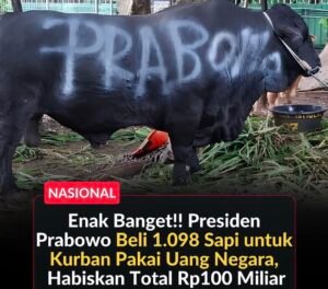 Presiden Prabowo Subianto menyalurkan 1.098 sapi kurban Iduladha 1447 H senilai Rp100 miliar untuk daerah, pesantren, dan tokoh masyarakat.(Istimewa)