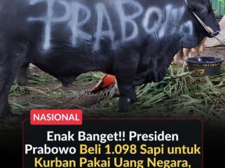 Presiden Prabowo Subianto menyalurkan 1.098 sapi kurban Iduladha 1447 H senilai Rp100 miliar untuk daerah, pesantren, dan tokoh masyarakat.(Istimewa)