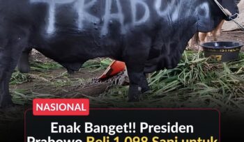 Presiden Prabowo Subianto menyalurkan 1.098 sapi kurban Iduladha 1447 H senilai Rp100 miliar untuk daerah, pesantren, dan tokoh masyarakat.(Istimewa)
