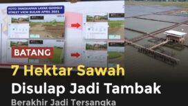 Kasus alih fungsi 7 hektare sawah di Batang menjadi tambak udang berujung pidana. Usaha yang disebut menghasilkan omzet miliaran rupiah itu kini disorot karena diduga melanggar aturan tata ruang dan mengancam lahan pangan.(istimewa)
