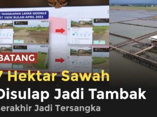 Kasus alih fungsi 7 hektare sawah di Batang menjadi tambak udang berujung pidana. Usaha yang disebut menghasilkan omzet miliaran rupiah itu kini disorot karena diduga melanggar aturan tata ruang dan mengancam lahan pangan.(istimewa)
