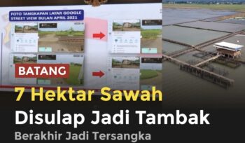 Kasus alih fungsi 7 hektare sawah di Batang menjadi tambak udang berujung pidana. Usaha yang disebut menghasilkan omzet miliaran rupiah itu kini disorot karena diduga melanggar aturan tata ruang dan mengancam lahan pangan.(istimewa)