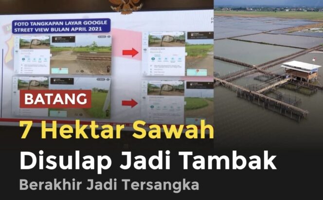 
					Kasus alih fungsi 7 hektare sawah di Batang menjadi tambak udang berujung pidana. Usaha yang disebut menghasilkan omzet miliaran rupiah itu kini disorot karena diduga melanggar aturan tata ruang dan mengancam lahan pangan.(istimewa)