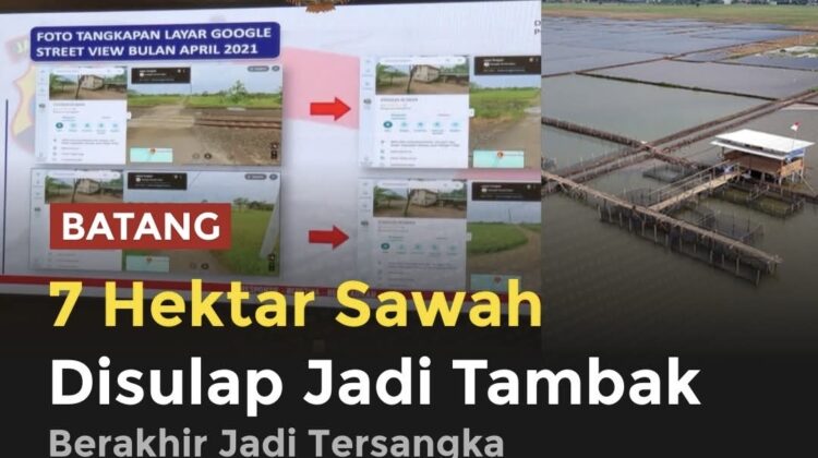 Kasus alih fungsi 7 hektare sawah di Batang menjadi tambak udang berujung pidana. Usaha yang disebut menghasilkan omzet miliaran rupiah itu kini disorot karena diduga melanggar aturan tata ruang dan mengancam lahan pangan.(istimewa)